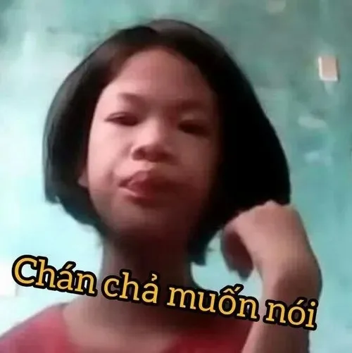 meme cạn lời bất lực