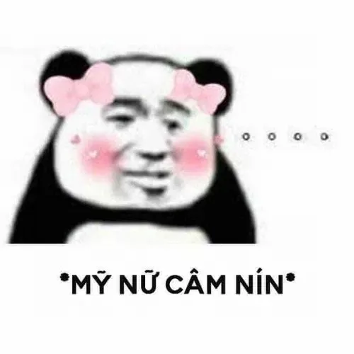meme cạn lời hài hước