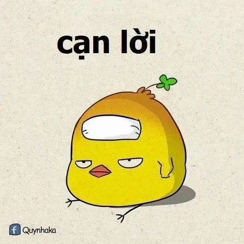 meme cạn lời hài hước