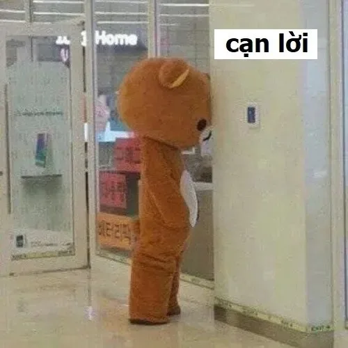 meme cạn lời bất lực