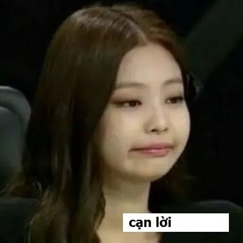 meme cạn lời