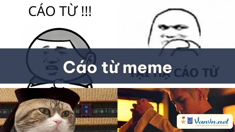 cáo từ meme