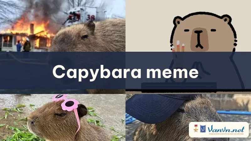 capybara meme