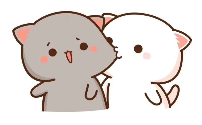 meme kết hôn