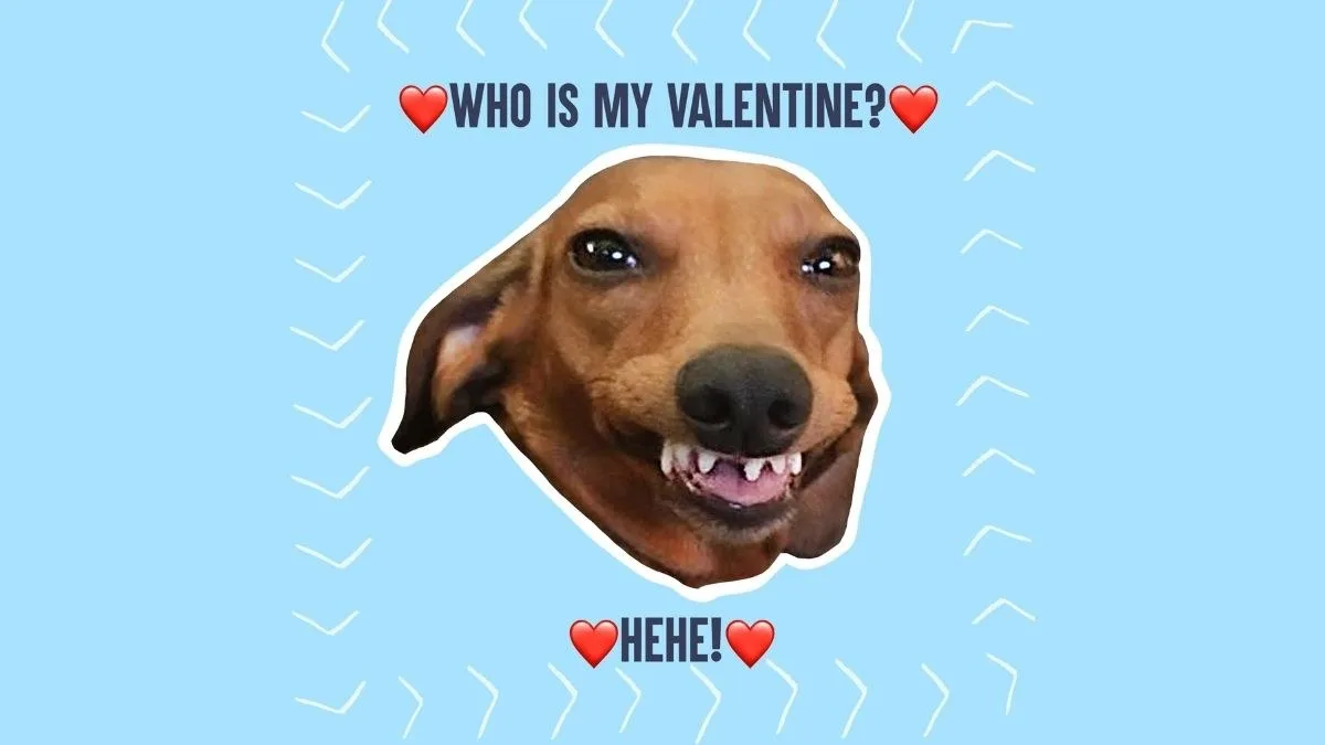 meme cầu hôn