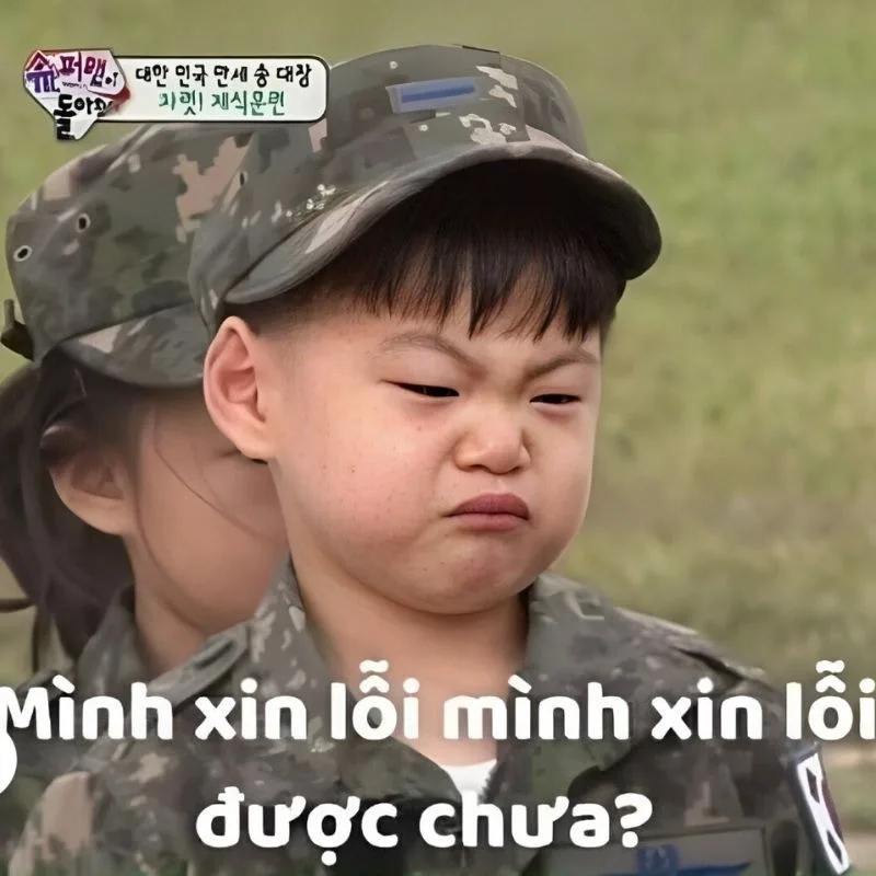 meme cầu xin tha thứ