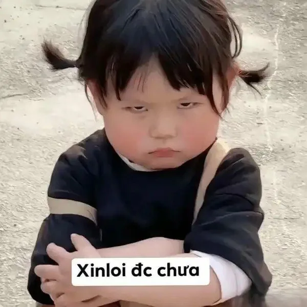 meme cầu xin tha thứ