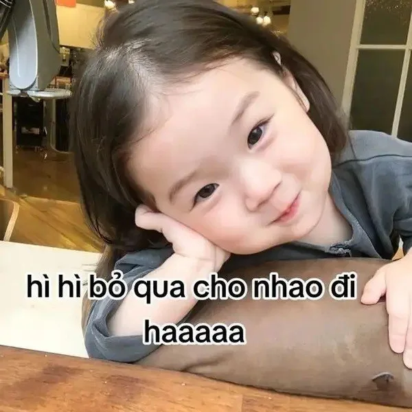 meme cầu xin tha thứ