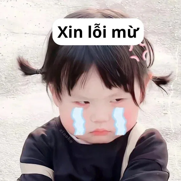 meme cầu xin tha thứ