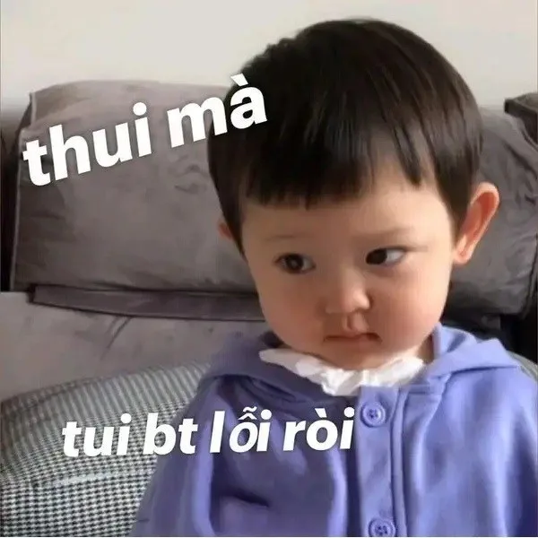 meme cầu xin tha thứ