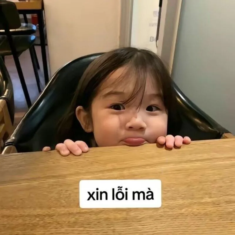 meme cầu xin tha thứ