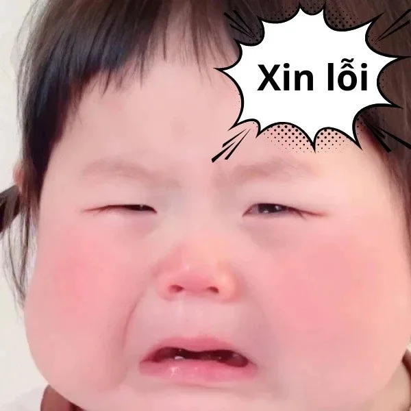 meme cầu xin tha thứ