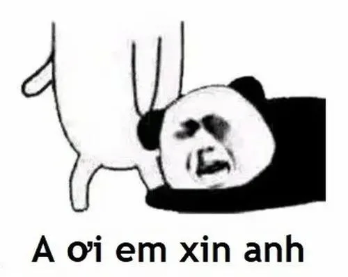 meme quỳ cầu xin