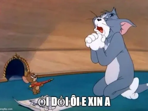 meme quỳ cầu xin