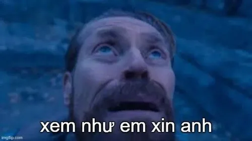 ảnh meme cầu xin