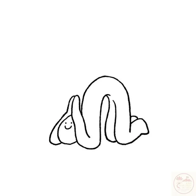 meme quỳ cầu xin