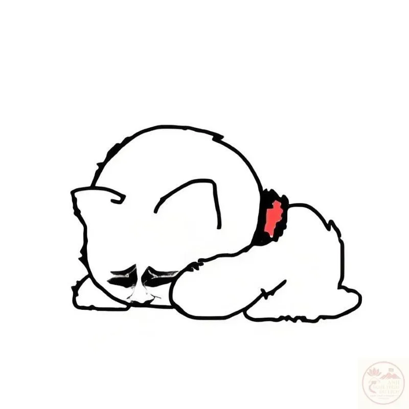 meme quỳ cầu xin