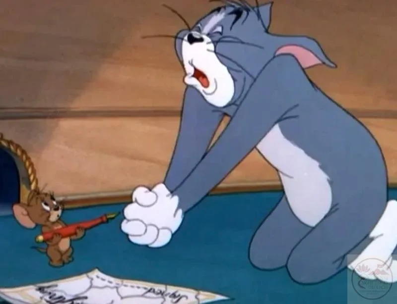 meme quỳ cầu xin