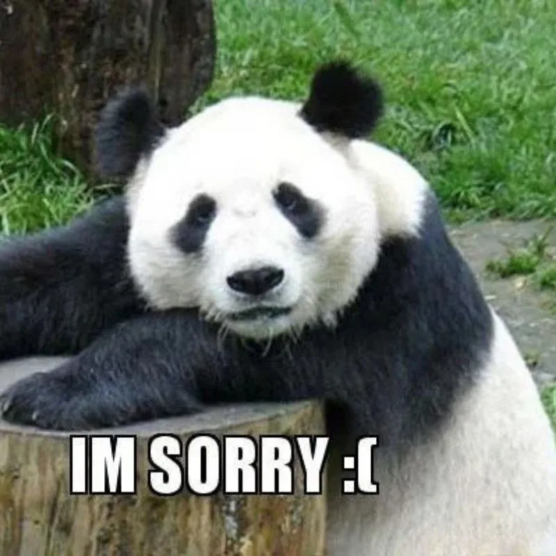 ảnh meme cầu xin