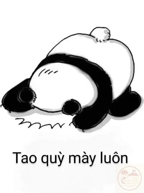meme quỳ cầu xin