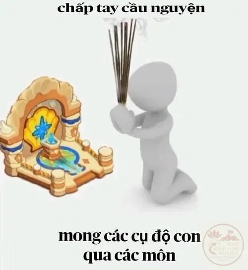ảnh meme cầu xin