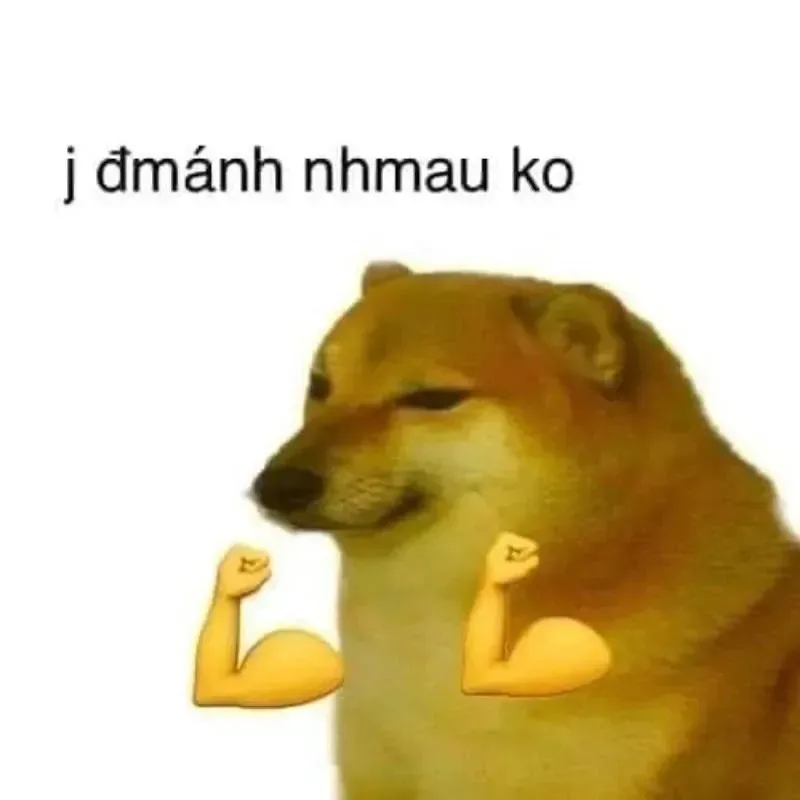 cay meme dễ thương