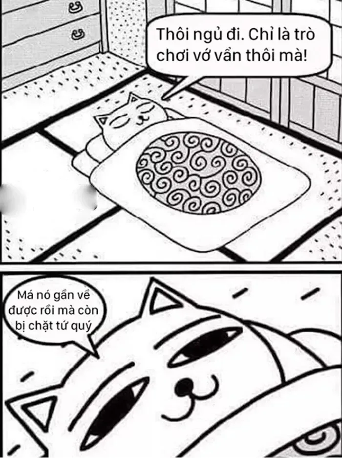 meme cay mèo
