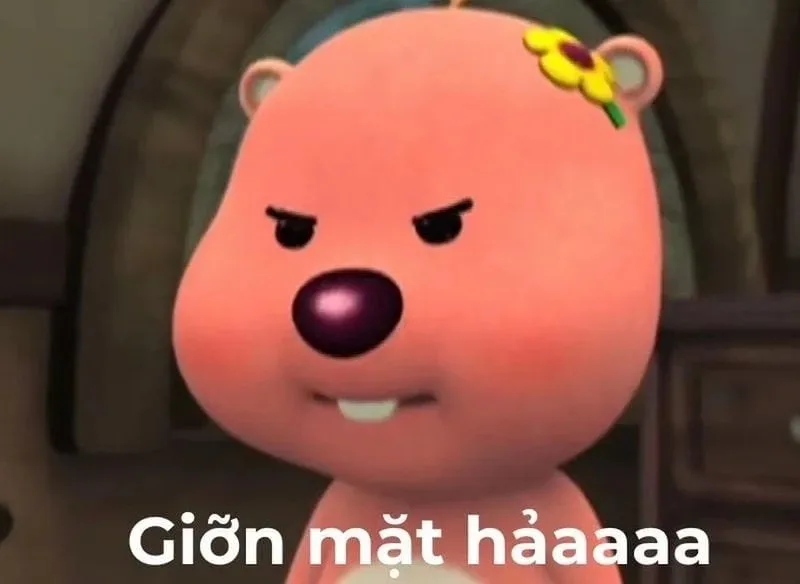 cay meme dễ thương
