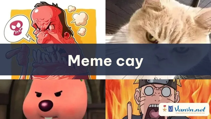 meme cay