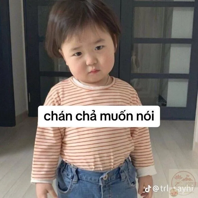 meme chán