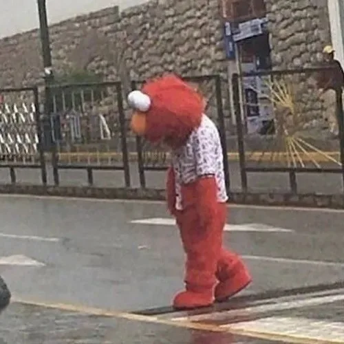 meme chán