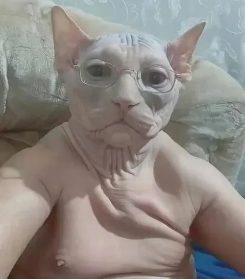 meme chán
