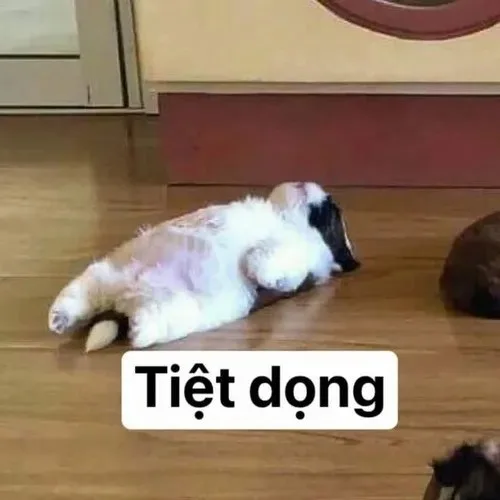 meme chán