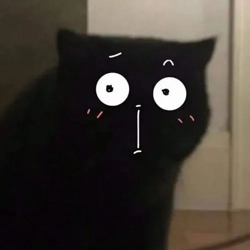 meme chán