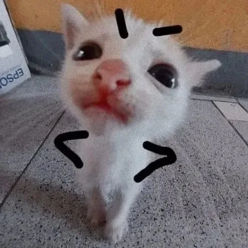 meme chán