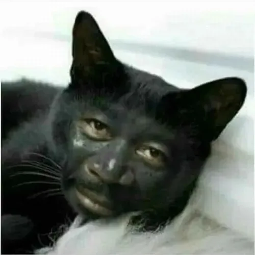 meme chán
