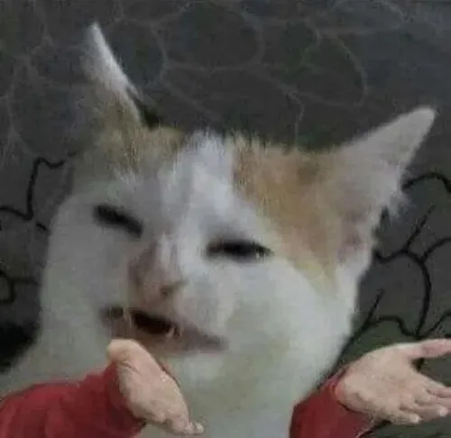 meme chán
