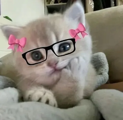 meme chán