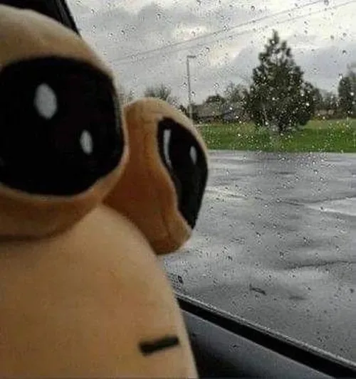 meme chán