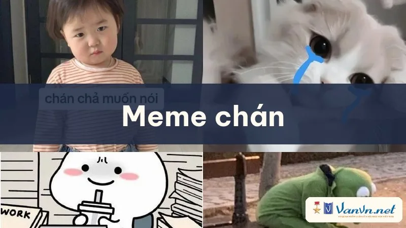 meme chán