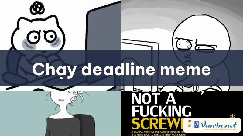 chạy deadline meme