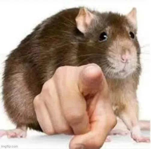 meme chỉ tay