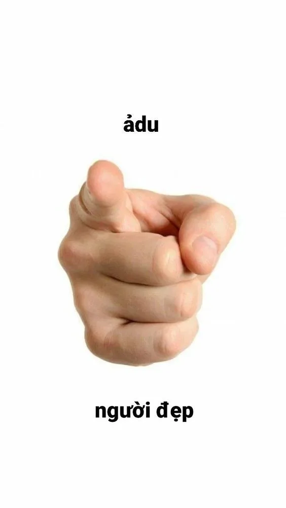 meme chỉ tay vào mặt