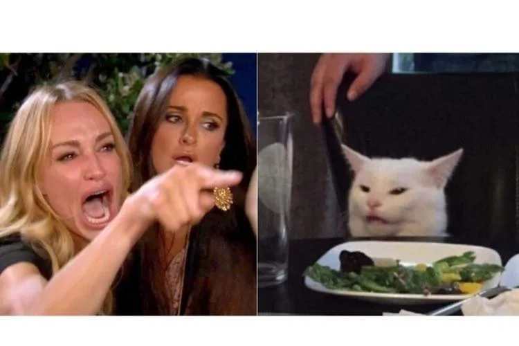 meme chỉ tay