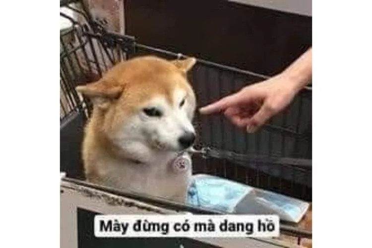 meme chỉ tay vào mặt