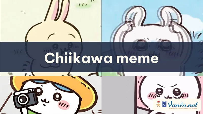 chiikawa meme