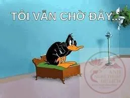 meme chờ đợi hài hước