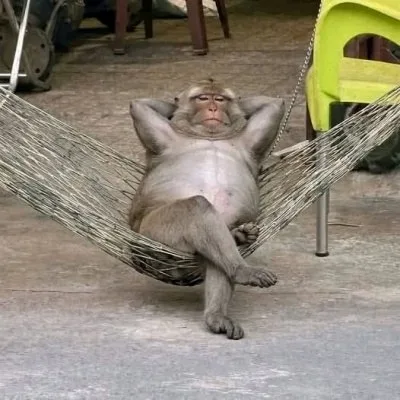 meme chờ đợi hài hước