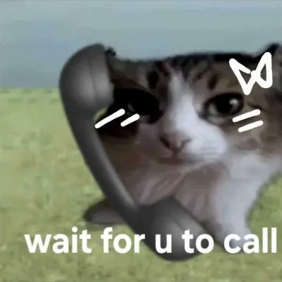 meme chờ đợi tin nhắn