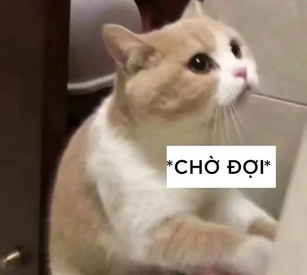 meme chờ đợi cute